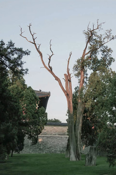 天壇