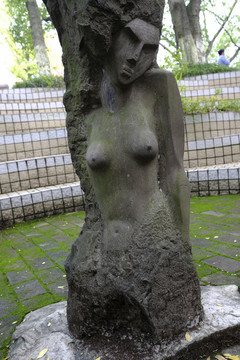 川美校園一角