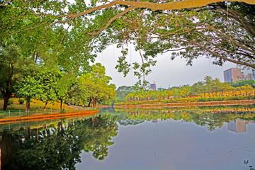 湖畔風(fēng)景