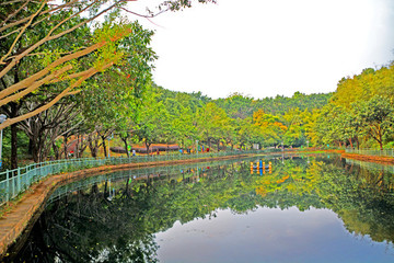 龍崗龍?zhí)豆珗@湖畔風(fēng)景