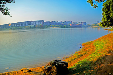 湖畔風(fēng)景