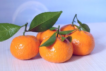 砂糖桔