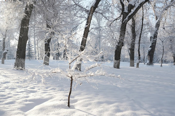 雪淞