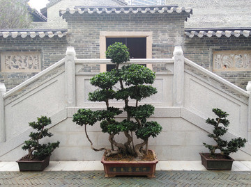 古代園林