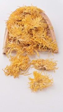 金絲菊干茶