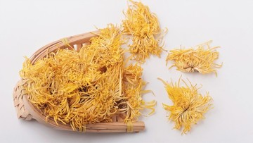 金絲菊干茶素材