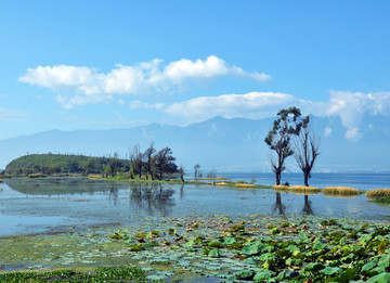 洱海濕地
