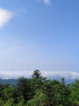 云海