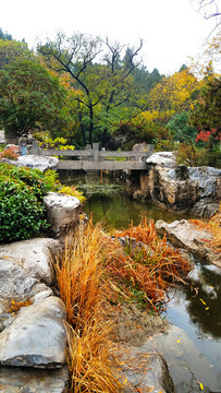 云龍山風(fēng)景區(qū)