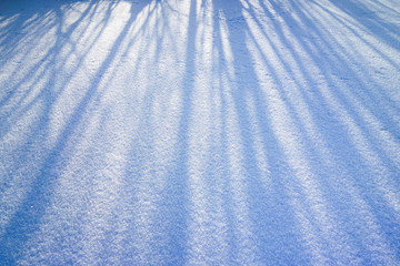 雪地倒影