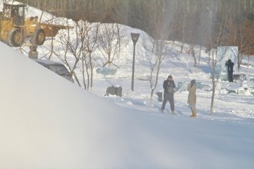 雪濛濛