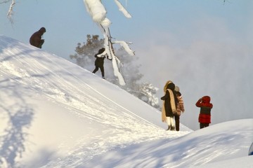 賞雪玩雪