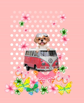 車狗