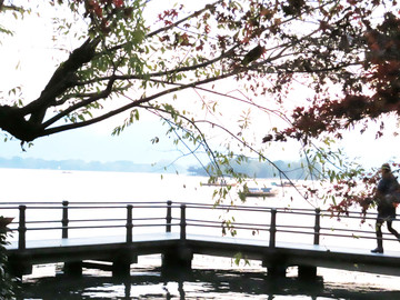 西湖平湖秋月景區(qū)