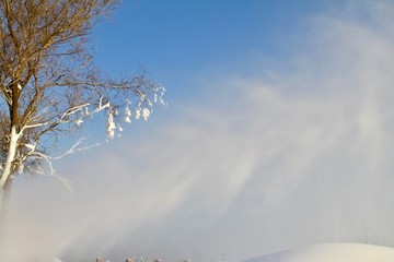 飛雪