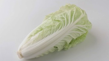 娃娃菜