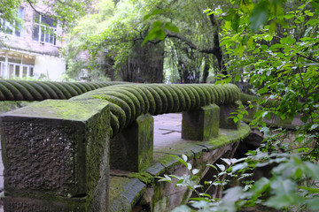 榕湖繩橋