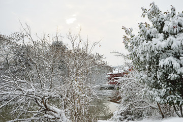 江南雪景