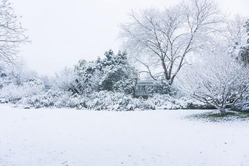 西湖雪景
