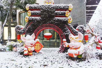 豬年花壇