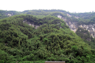 山林