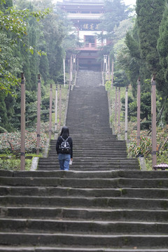 萬(wàn)卷樓