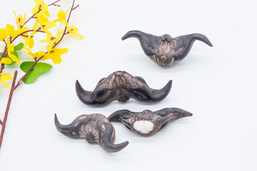 菱角