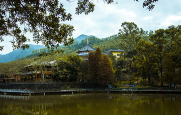 妙覺寺