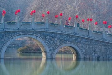 紅燈高掛迎新年
