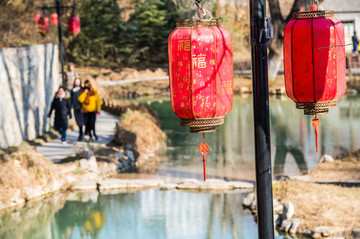 紅燈高掛迎新年