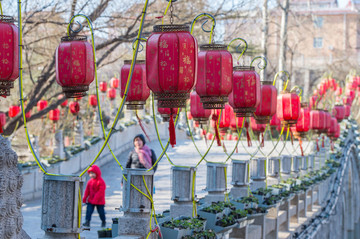 紅燈高掛迎新年