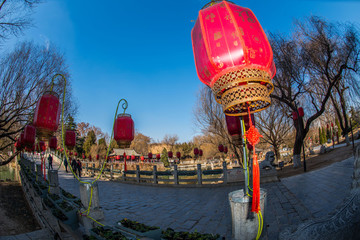紅燈高掛迎新年