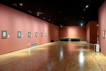 龍美術(shù)館展覽陳設(shè)
