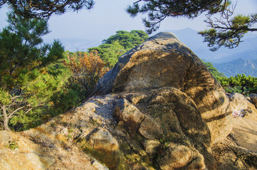 千山小黃山景區(qū)御覽峰與松枝