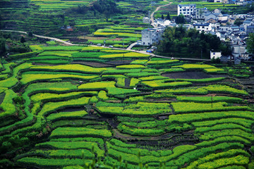 山村風(fēng)景