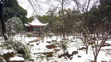 公園雪景