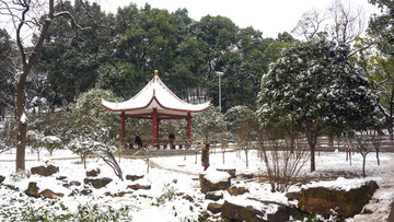 公園雪景