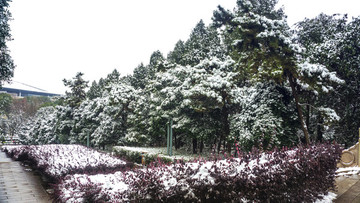 皚皚雪景