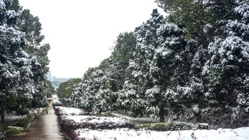 皚皚雪景