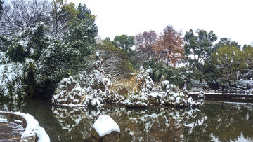 深冬雪景