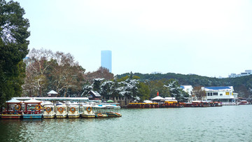 深冬雪景