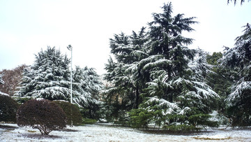 公園雪景