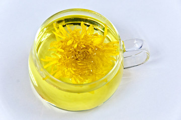 貢菊