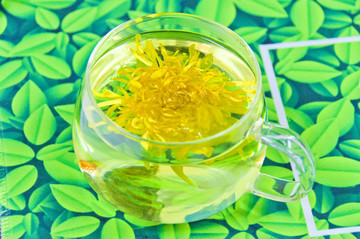 貢菊