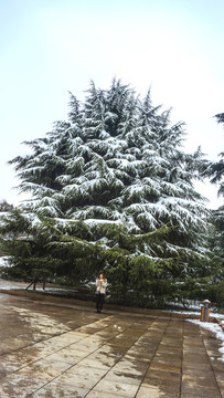 公園雪景