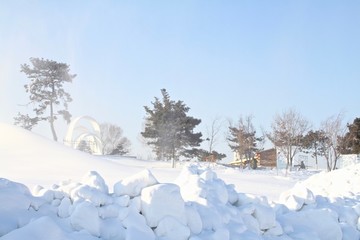 雪濛濛