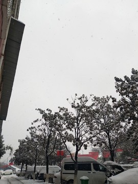 雪景