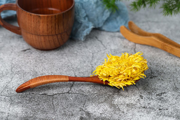 金絲皇菊
