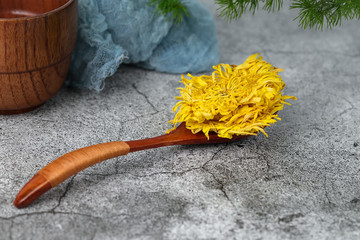 金絲皇菊