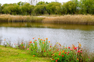 萊西涌泰濕地公園